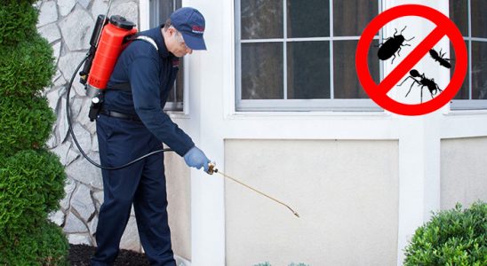 Nizip Tahtakurusu İlaçlama böcek ilaçlama ve haşere kontrolü — ilaclama-tr.com